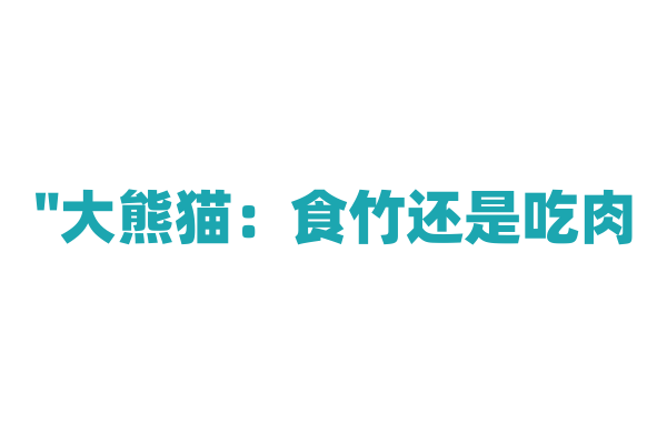"大熊猫：食竹还是吃肉？真相大 reveal!"